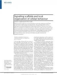 Signalling Scaffolds and Local Organization of Cellular Behaviour