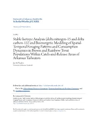 Stable Isotope Analysis