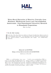 Water-Based Extraction of Bioactive Principles from Hawthorn, Blackcurrant Leaves and Chrysanthellum Americanum