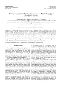 Dimension Growth of Azadirachta Excelsa and Phyllanthus Spp. in Agroforestry System