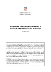 Insights Into the Molecular Mechanisms of Apoptosis Induced