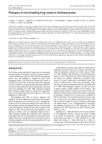 Phylogeny of Rock-Inhabiting Fungi Related to Dothideomycetes