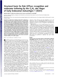 Structural Basis for Rab Gtpase Recognition and Endosome Tethering by the C2H2 Zinc Finger of Early Endosomal Autoantigen 1 (EEA1)