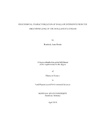 Geochemical Characterization of Shallow Sediments from The