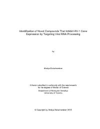 Identification of Novel Compounds That Inhibit HIV-1 Gene Expression by Targeting Viral RNA Processing