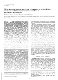 Molecular Cloning and Functional Expression of Gibberellin 2- Oxidases, Multifunctional Enzymes Involved in Gibberellin Deactivation