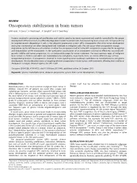 Oncoprotein Stabilization in Brain Tumors