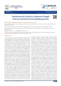 Antibacterial Activity of Aqueous Fungal Extracts Derived from Basidiomycetes