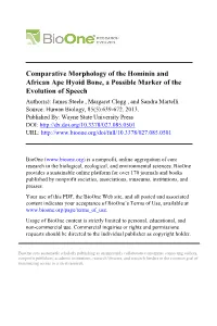 Comparative Morphology of the Hominin and African Ape Hyoid Bone, a Possible Marker of the Evolution of Speech