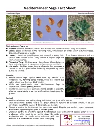 Mediterranean Sage Fact Sheet