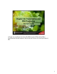 Chapter 10: Transcription and RNA Processing 10.1 Types of RNA