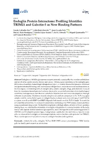 Endoglin Protein Interactome Profiling Identifies TRIM21 and Galectin-3 As