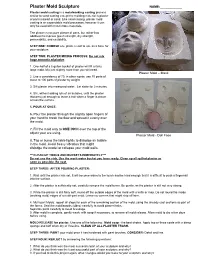 Plaster Mold Sculpture NAME:______
