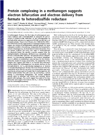 Protein Complexing in a Methanogen Suggests Electron Bifurcation and Electron Delivery from Formate to Heterodisulﬁde Reductase