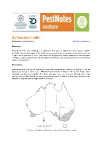 Balaustium Mite Balaustium Medicagoense Click for Html Version