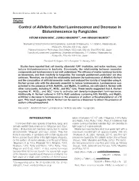 Control of Aliivibrio Fischeri Luminescence and Decrease In
