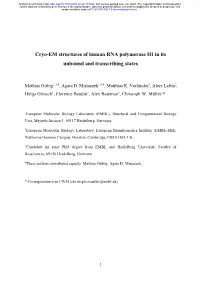 Cryo-EM Structures of Human RNA Polymerase III in Its Unbound and Transcribing States
