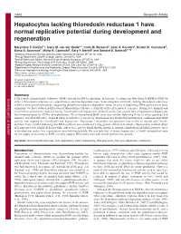 Hepatocytes Lacking Thioredoxin Reductase 1 Have Normal Replicative Potential During Development and Regeneration