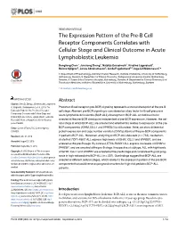 The Expression Pattern of the Pre-B Cell Receptor Components Correlates with Cellular Stage and Clinical Outcome in Acute Lymphoblastic Leukemia