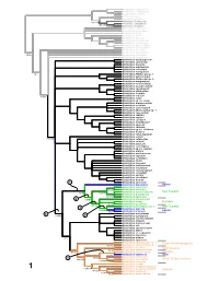 With Description of Bembidion Tahitiense, Sp. Nov. From