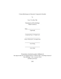 Cellular Mechanism of Obsessive-Compulsive Disorder By