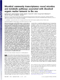 Microbial Community Transcriptomes Reveal Microbes and Metabolic Pathways Associated with Dissolved Organic Matter Turnover in the Sea