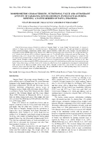 Morphometric Characteristic, Nutritional Value And