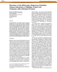Structure of the Molecular Chaperone Prefoldin