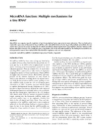 Microrna Function: Multiple Mechanisms for a Tiny RNA?
