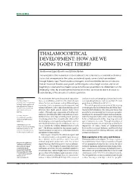 Thalamocortical Development: How Are We Going to Get There?