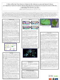 A Comparative Analysis of Quercus