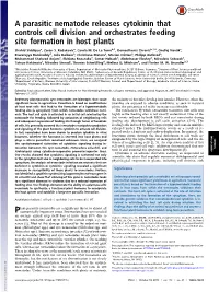 A Parasitic Nematode Releases Cytokinin That Controls Cell Division and Orchestrates Feeding Site Formation in Host Plants
