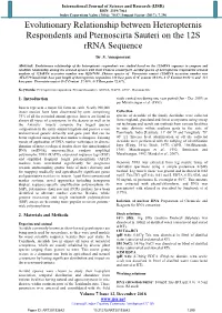 Evolutionary Relationship Between Heteropternis Respondents and Pternoscirta Sauteri on the 12S Rrna Sequence