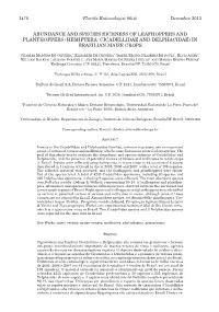 Hemiptera: Cicadellidae and Delphacidae) in Brazilian Maize Crops