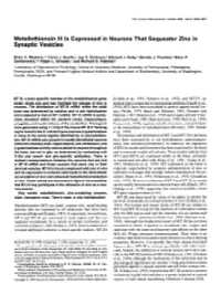 Metallothionein Ill Is Expressed in Neurons That Sequester Zinc in Synaptic Vesicles