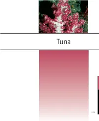 Albacore Tuna Have ﬂ Uctuated Considerably from Year To