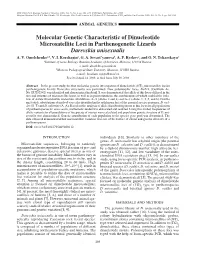 Molecular Genetic Characteristic of Dinucleotide Microsatellite Loci in Parthenogenetic Lizards Darevskia Unisexualis A