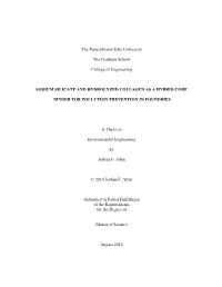 Sodium Silicate and Hydrolyzed Collagen As a Hybrid Core Binder for Pollution Prevention in Foundries