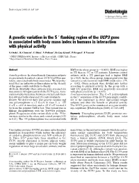 UCP3 Gene Is Associated with Body Mass Index in Humans in Interaction with Physical Activity