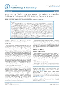 Antagonism of Trichoderma Spp. Against Macrophomina Phaseolina