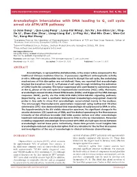 Arenobufagin Intercalates with DNA Leading to G Cell Cycle Arrest Via