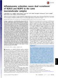 Inflammasome Activation Causes Dual Recruitment of NLRC4 and NLRP3 to the Same Macromolecular Complex