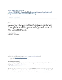 Managing Phomopsis Stem Canker of Sunflower Using Improved Diagnosis and Quantification of the Causal Pathogens Taylor Rae Olson South Dakota State University