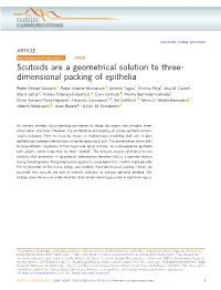 S41467-018-05376-1.Pdf