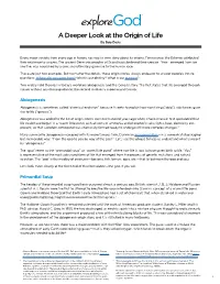 A Deeper Look at the Origin of Life by Bob Davis
