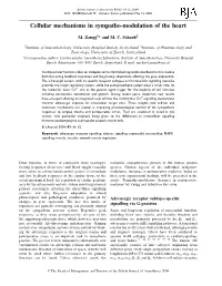 Cellular Mechanisms in Sympatho-Modulation of the Heart