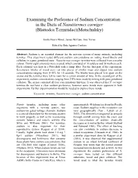 Examining the Preference of Sodium Concentration in the Diets of Nasutitermes Corniger (Blattodea:Termitidae)(Motschulsky)
