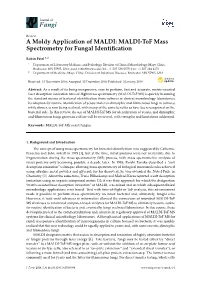 MALDI-Tof Mass Spectrometry for Fungal Identification