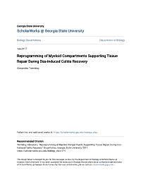 Reprogramming of Myeloid Compartments Supporting Tissue Repair During Dss-Induced Colitis Recovery