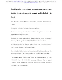 Rewiring of Transcriptional Networks As a Major Event Leading to The